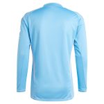 aston villa adidas goalkeeper shirt 2024-25 – long sleeve – 201964005 with custom printing Collection - Aston Villa Official Store