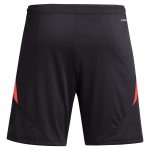 aston villa adidas goalkeeper shorts 2024-25 – 201964002 with custom printing Collection - Aston Villa Official Store