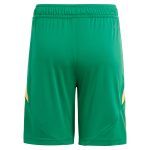 aston villa adidas goalkeeper shorts 2024-25 – 201964010 with custom printing Collection - Aston Villa Official Store