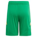 aston villa adidas goalkeeper shorts 2024-25 – kids – 201964012 with custom printing Collection - Aston Villa Official Store