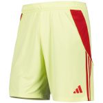 aston villa adidas goalkeeper shorts 2025-26 with custom printing Collection - Aston Villa Official Store