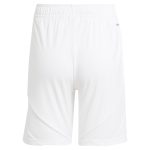 aston villa adidas home shorts 2024-25 with custom printing Collection - Aston Villa Official Store
